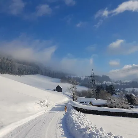 Haus Metzler 2* Spital am Semmering